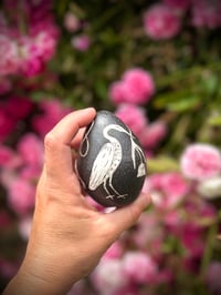 Image 1 of Egret Egg