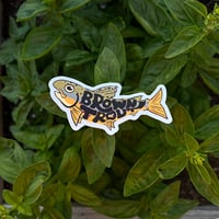 Image 3 of Funky Fish Brown Trout Sticker