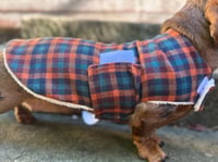 Image 1 of PUPPY Check Strap Coat