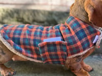 Image 2 of PUPPY Check Strap Coat