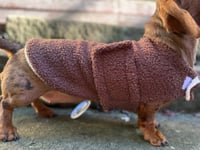Image 1 of PUPPY Chocolate Teddy Strap Coat