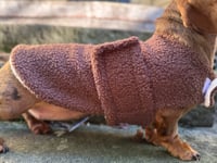 Image 2 of PUPPY Chocolate Teddy Strap Coat