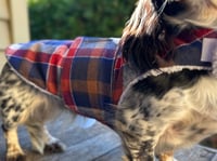 Image 1 of Blue Plaid Strap Coat