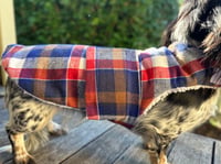 Image 4 of Blue Plaid Strap Coat