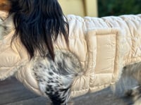 Image 6 of Cream Puffer Chest Cover coat