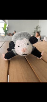 Possum Friend