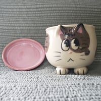 Image 2 of Mini Planter Brown Tabby Spot