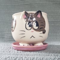 Image 1 of Mini Planter Brown Tabby Spot