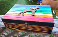 Image 3 of Boxer or Dog Bone Rainbow memorial box