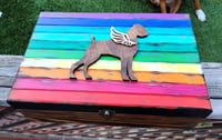 Image 1 of Boxer or Dog Bone Rainbow memorial box