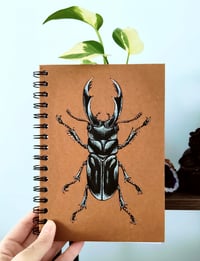Stag Beetle, Notebook, Beetle, A5, Recycled Notebook, Stationery