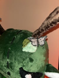 Image 4 of Fauna