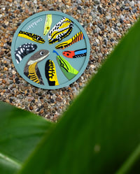 snakes of Singapore rubber coaster