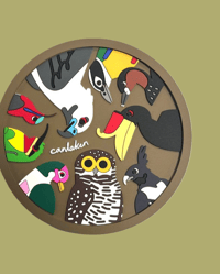 birds of Singapore 2 rubber coaster