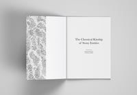 The Chemical Kinship of Stony Entities