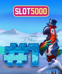Slot5000 Aplikasi Pengisi Waktu Luang Anti Gak Suntuk