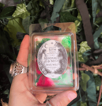 The Seelie and Unseelie Court Wax Melts