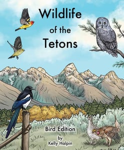 Image of Wildlife of the Tetons Bird Edition