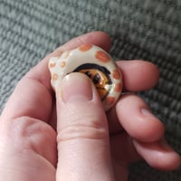 Image 3 of Hermit Crab Worry Stone