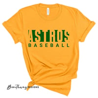 PREORDER :: Astros Baseball GOLD in Youth and Adult