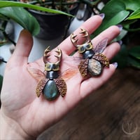 Image 6 of Stag Beetle necklace 