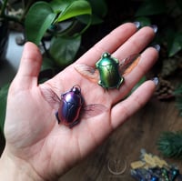 Image 4 of Scarab with wings necklace