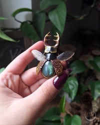 Image 7 of Stag Beetle necklace 