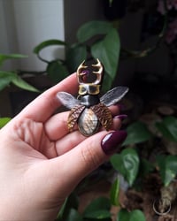 Image 8 of Stag Beetle necklace 