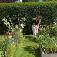 Image 6 of Painting through the Seasons: A Summer's Day at Leighton Hall