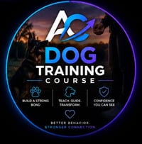 Dog Training Course