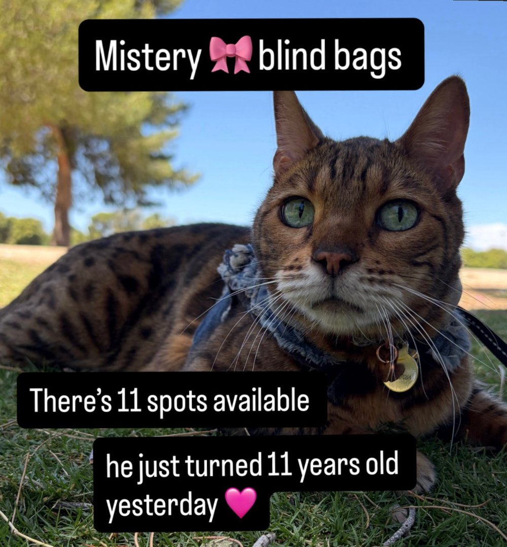 Image of mistery bow blind bag 