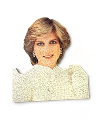 Diana, Princess of Wales 2