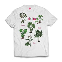 DIALITA - Dunia Milik Kita