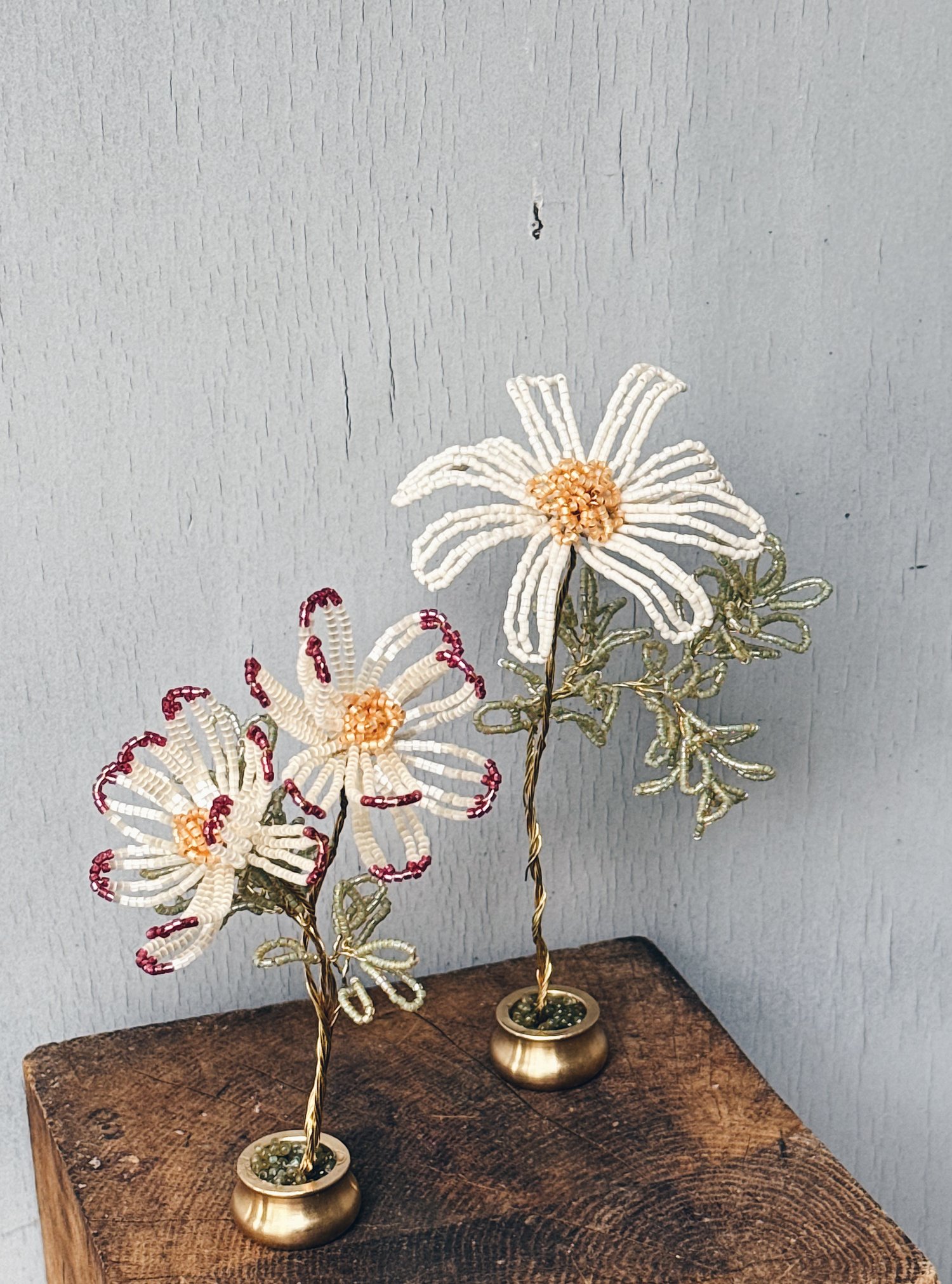 Hvid _perleblomst på fod