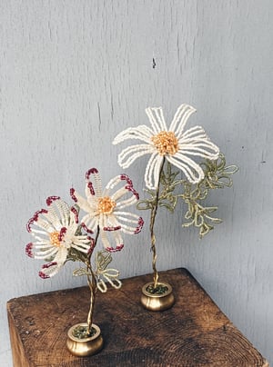 Hvid _perleblomst på fod