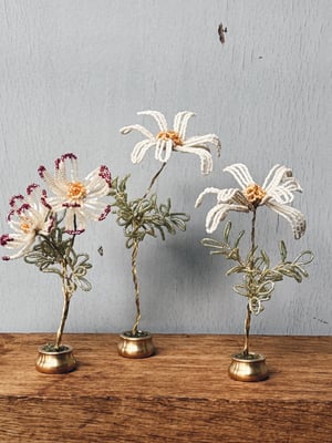 Hvid _perleblomst på fod