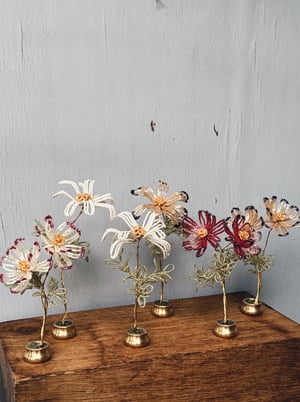 Hvid _perleblomst på fod