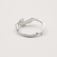 Image 5 of Texture ring