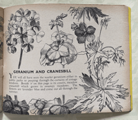 Image 7 of Flowers of the Field and Hedgerow and their garden cousins