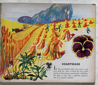 Image 3 of Flowers of the Field and Hedgerow and their garden cousins