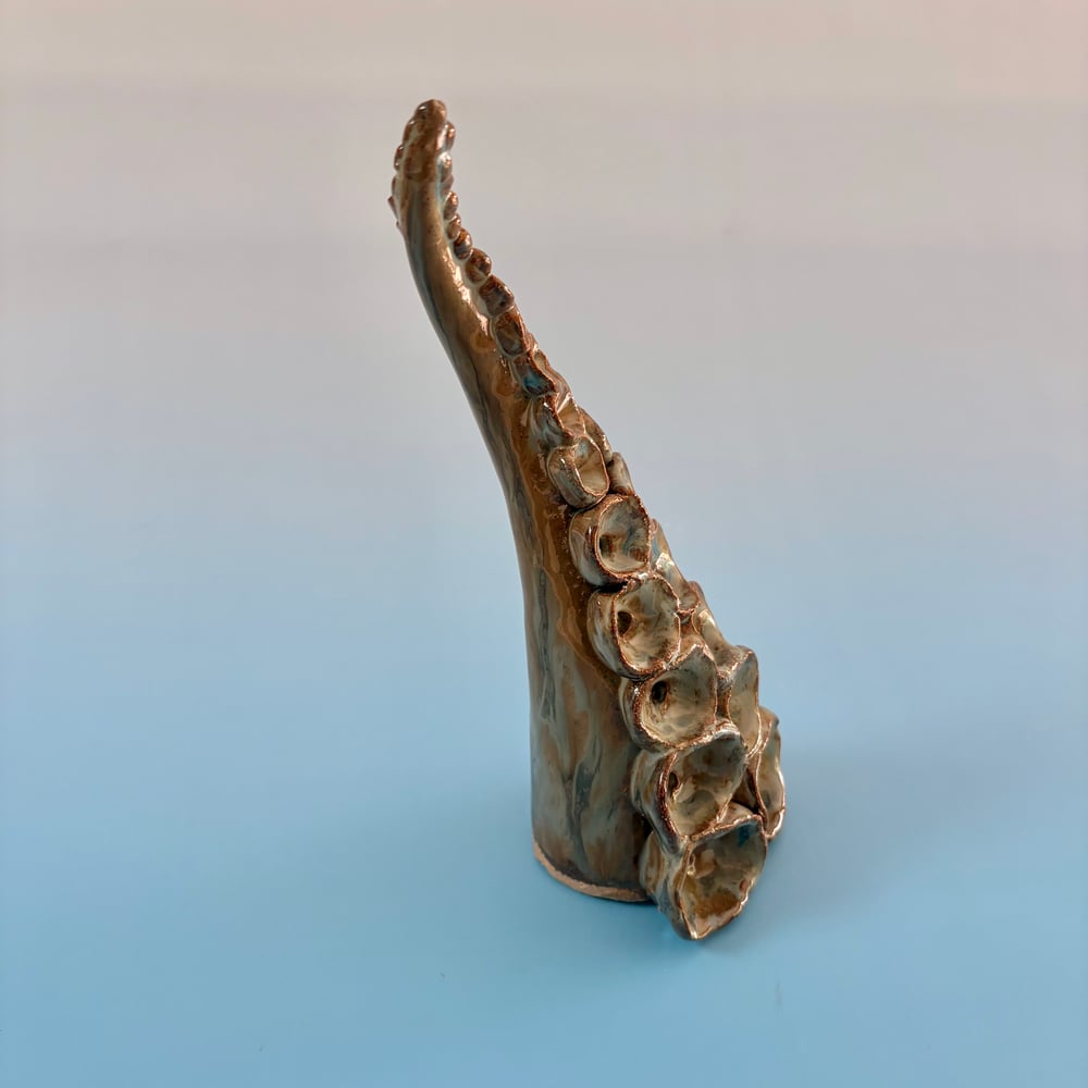 Image of Lagoon Tentacle 