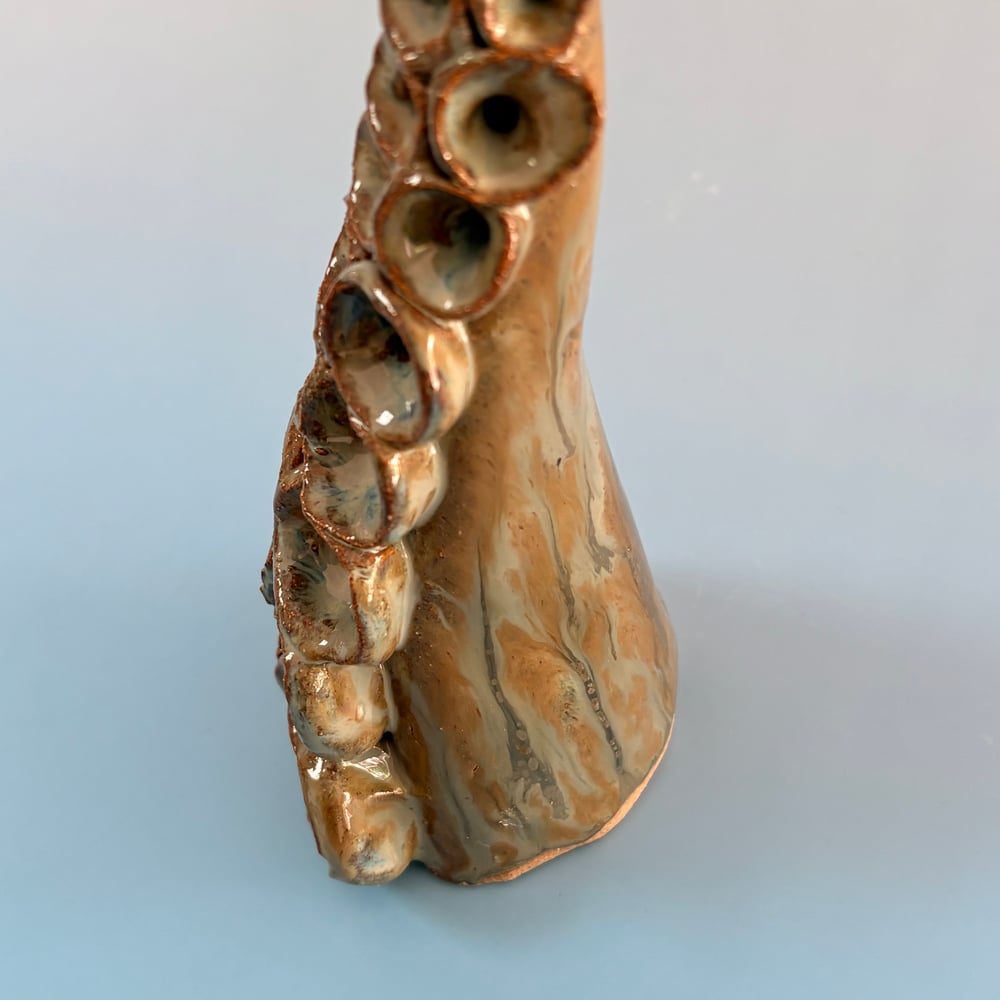 Image of Lagoon Tentacle 