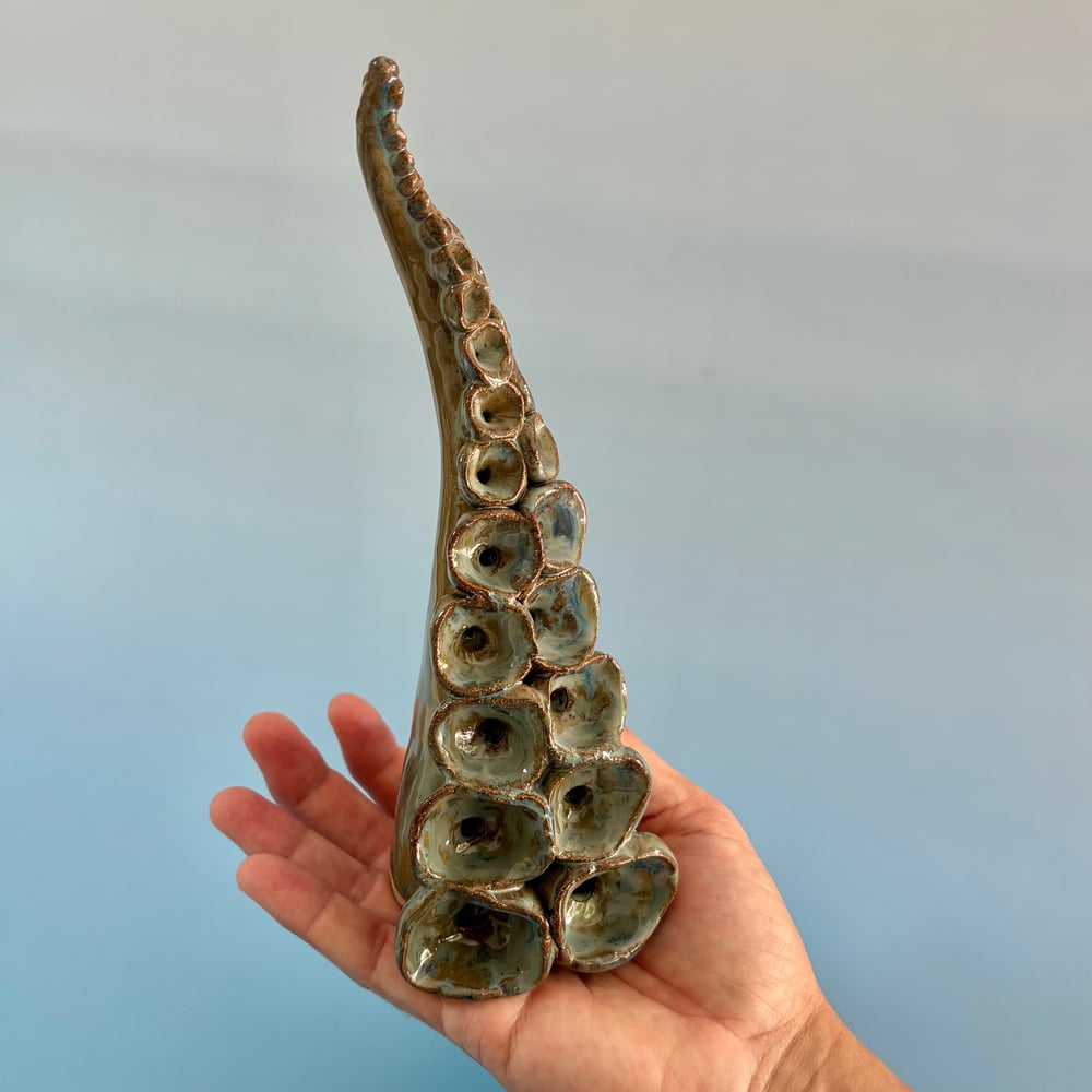 Image of Lagoon Tentacle 