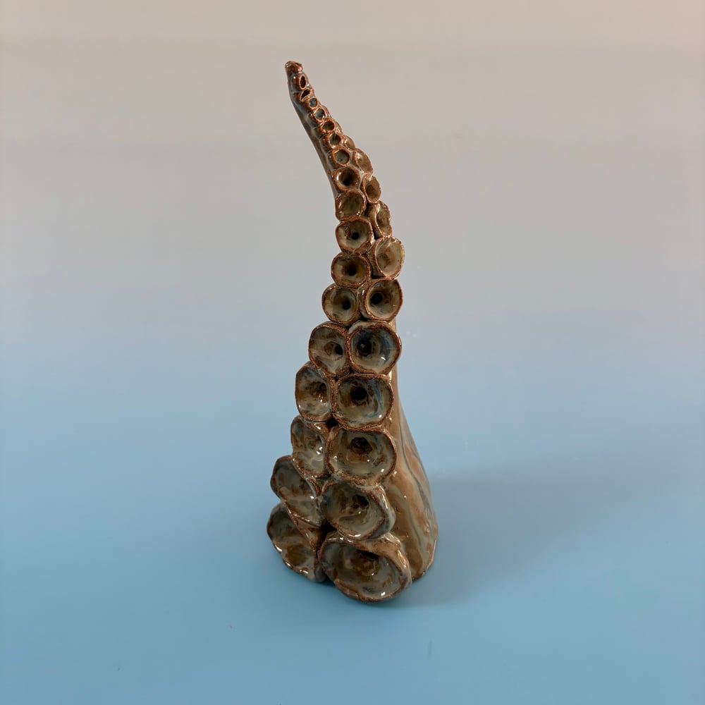 Image of Lagoon Tentacle 