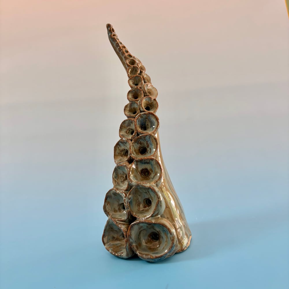 Image of Lagoon Tentacle 
