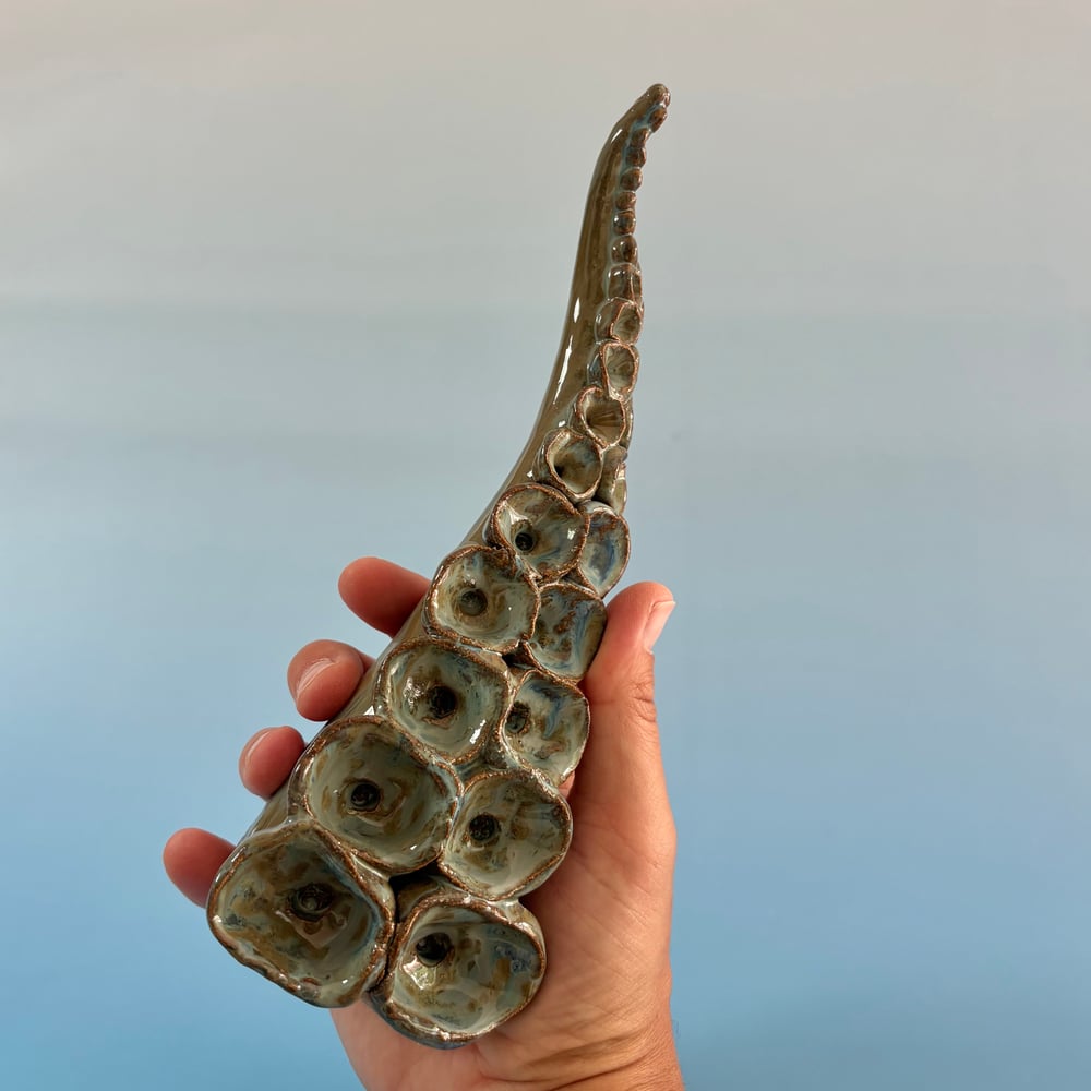 Image of Lagoon Tentacle 