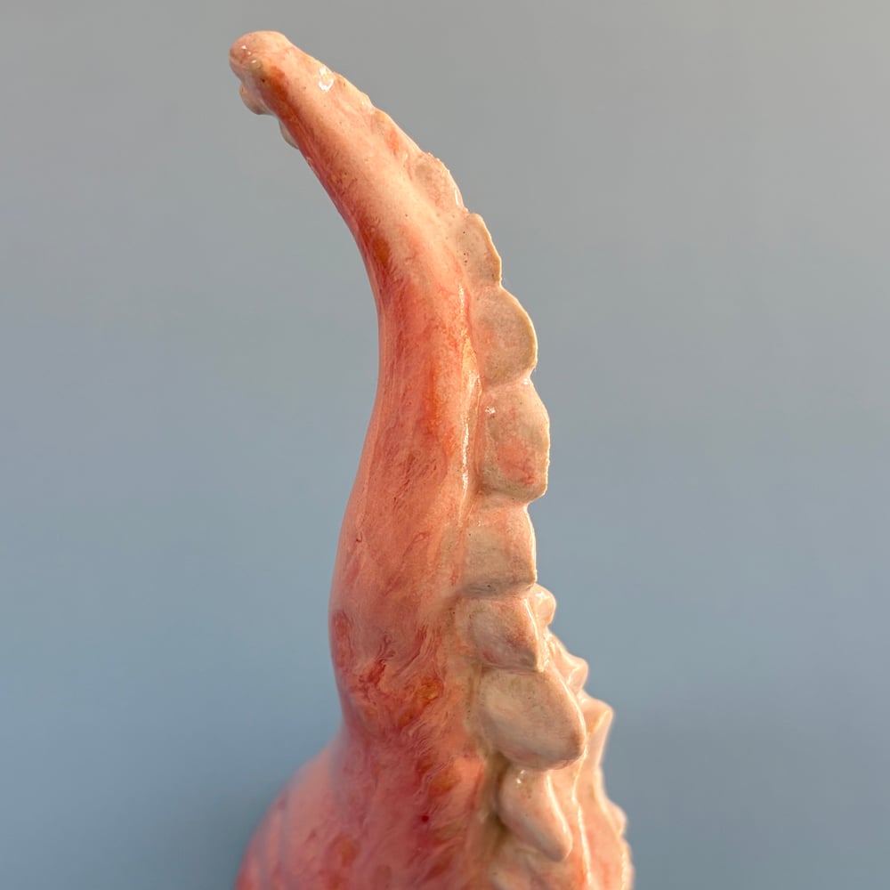 Image of Pink Cloud Tentacle 