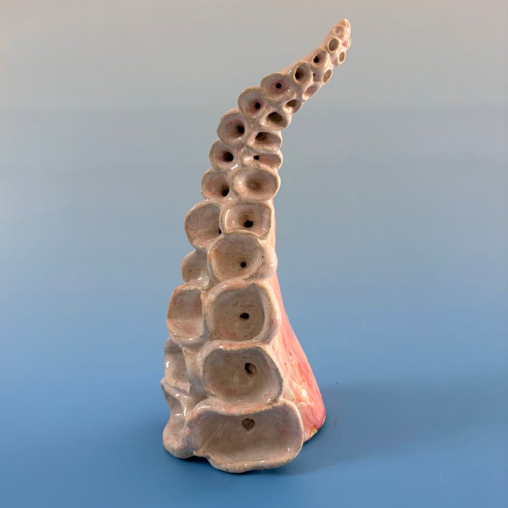 Image of Pink Cloud Tentacle 