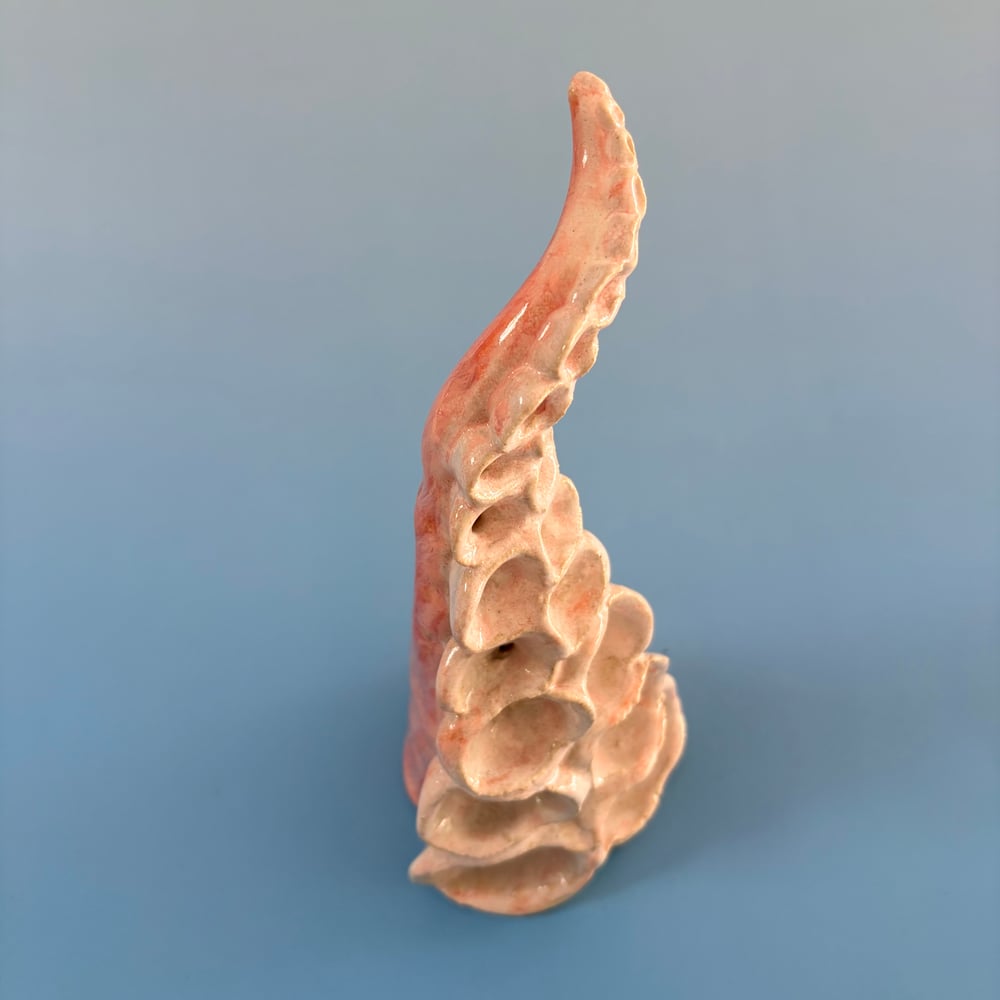 Image of Pink Cloud Tentacle 
