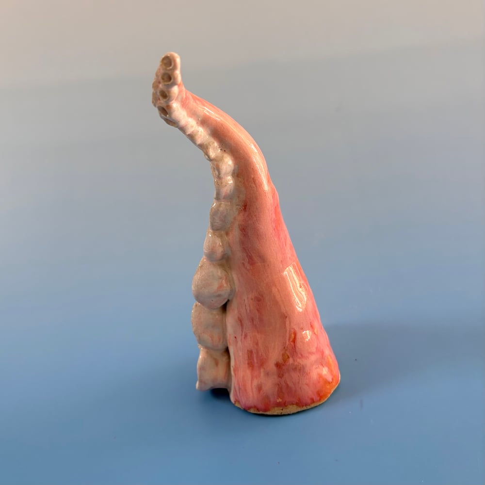 Image of Pink Cloud Tentacle 